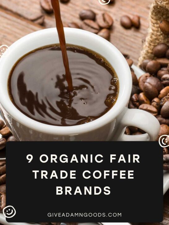 organic fair trade coffee graphic for blog post