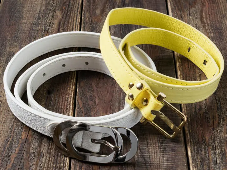 vegan belts